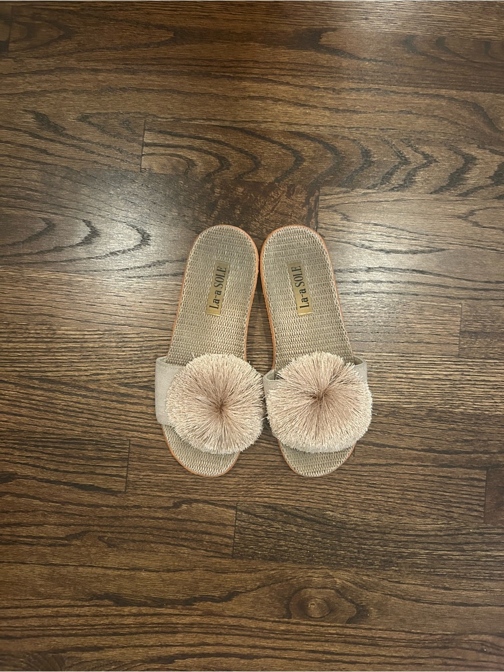 La a Sole Pom Pom Slide Sandals in Blush